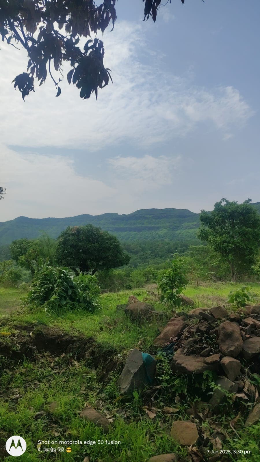 Children's play area.