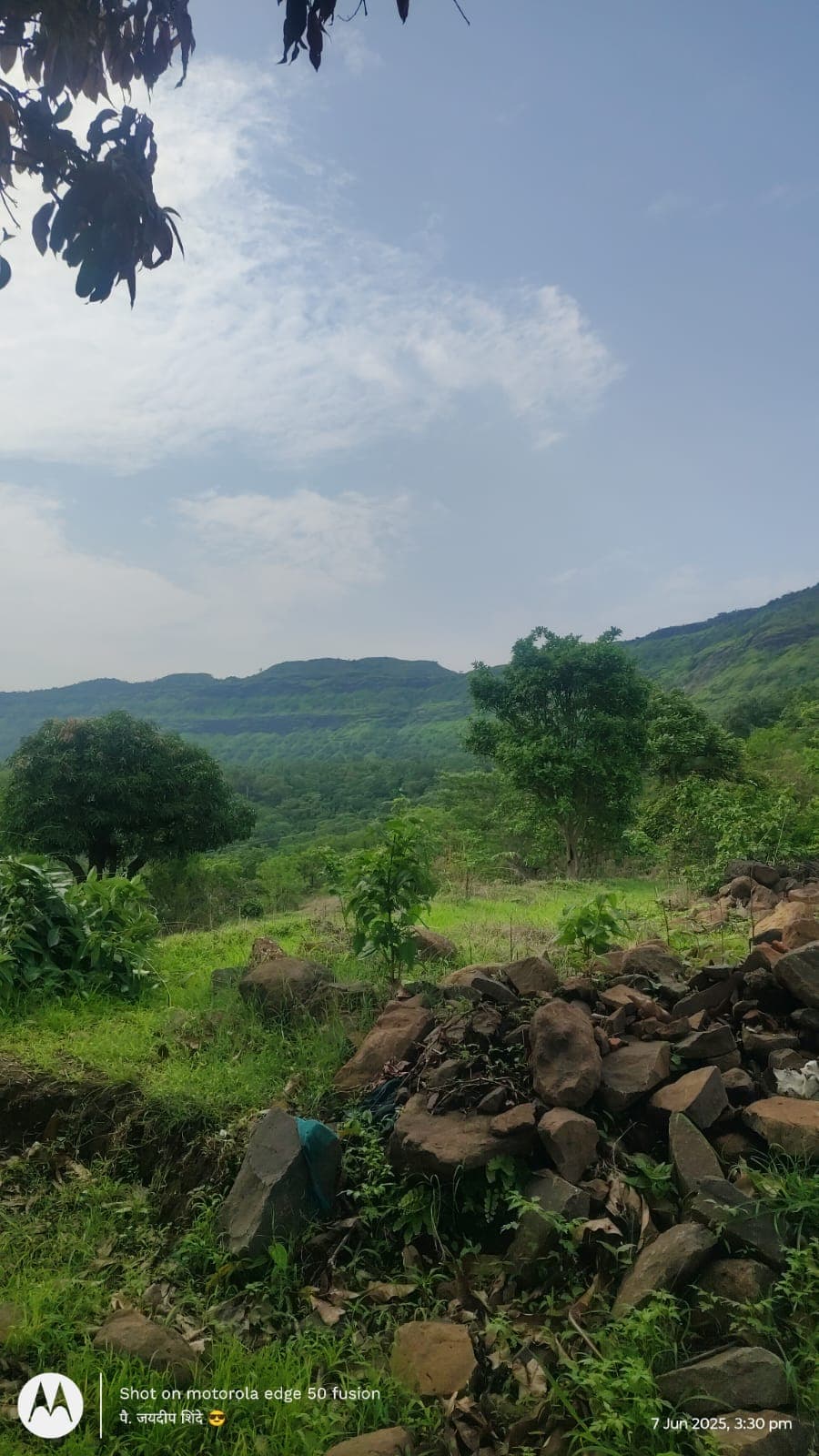 A walking path in the garden.