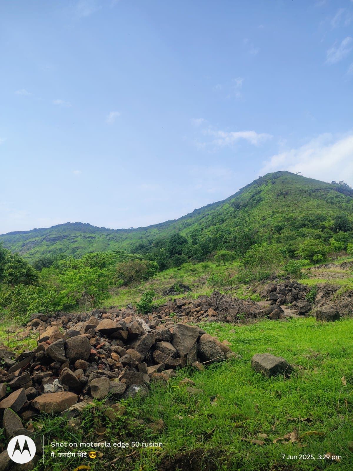 A close-up of a flower.